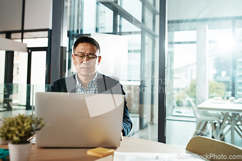 Image of Office laptop, typing and senior man reading feedback review of social media, customer experience or ecommerce website. Data analytics, infographic or Asian marketing worker analysis of online survey