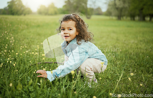 Image of Girl child, smile and flowers in park, outdoor and learning for plants in backyard, field or woods. Young female kid, picking flower and portrait on grass lawn, spring or exploring ground by forest