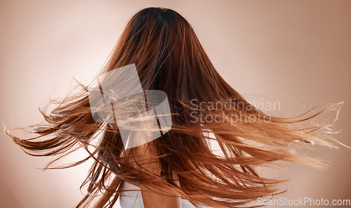 Image of Hair care, beauty salon and cosmetics of a woman doing hair flip on studio background for luxury keratin treatment at hairdresser. Headshot of female posing for health and growth shampoo mockup