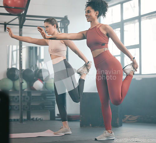 Image of Fitness, stretching and training with women in gym for teamwork, workout and exercise. Friends, health and personal trainer with girl and muscle warm up for wellness, sports and progress goals