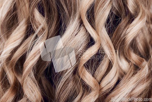 Image of Beauty, hair care and hair closeup of woman in studio after salon treatment for growth, texture or balayage. Wellness, wavy hair style and macro of female model with long, healthy and beautiful hair.