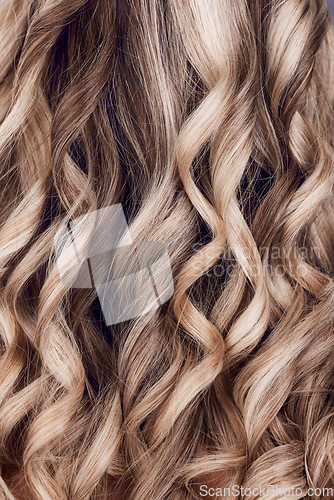 Image of Beauty, hair care and hair closeup of woman in studio after salon treatment for growth, texture or balayage. Wellness, wavy hair style and macro of female model with long, healthy and beautiful hair.