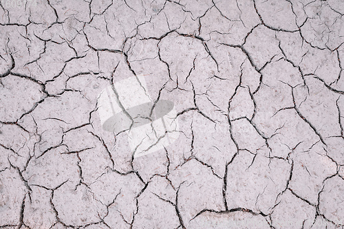 Image of Texture of dry cracked soil