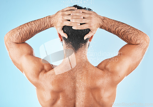 Image of Water splash, man hair and shower for body hygiene, skincare grooming or cleaning care in blue background studio. Model back, self care water cleansing and cosmetics hair care wellness in morning