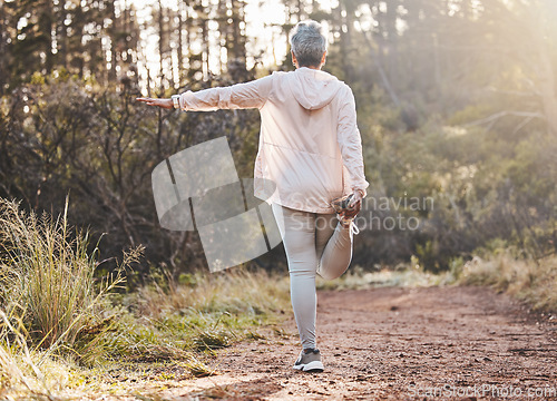 Image of Fitness, forest or senior woman stretching in nature to start training, exercise or hiking workout in New Zealand. Back view, balance or healthy elderly person with focus, body goals or motivation