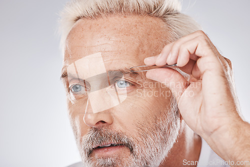 Image of Beauty, eyebrows and senior man with tweezers for facial hair grooming, shaping and cosmetic care on a studio background. Hair removal, clean and face of a model with a tool for trimming brows