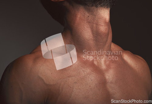 Image of Man, body or neck muscles on dark studio background and exercise aesthetic, workout goals or intense training progress. Zoom, skin or bodybuilder fitness model with blood veins or healthcare wellness