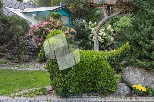 Image of topiary garden bush cut into a dog shape