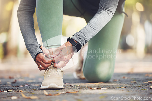 Image of Elderly runner, hands and shoes for running, fitness in the park with exercise and start run with vitality. Body training, cardio and footwear, active lifestyle and sport outdoor with senior athlete