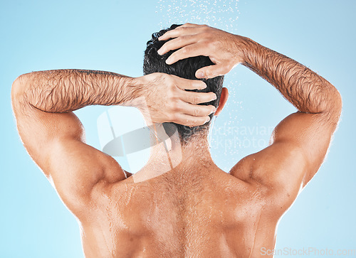 Image of Water splash, man back and hair care shower for body hygiene, skincare grooming or cleaning care in blue background studio. Model, self care water cleansing and cosmetics wellness for morning routine