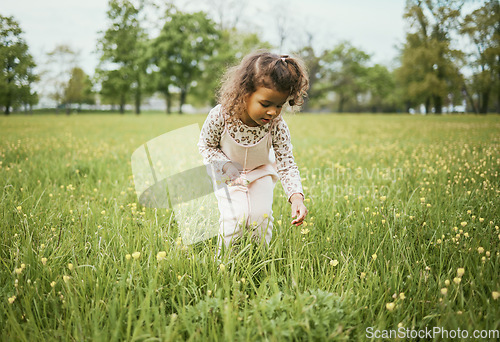 Image of Girl child, field and flowers in nature, outdoor and learning for plants in backyard, park or woods. Young female kid, picking flower and adventure on grass lawn, spring or exploring ground by forest