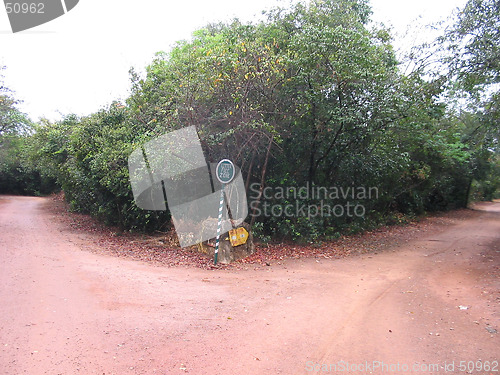 Image of Litter free