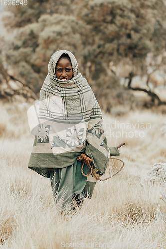 Image of Ethiopian shepherdess girl, Simien Mountains, Ethiopia