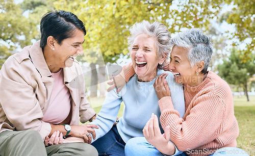 Image of Senior women, laughing and bonding in comic joke, funny meme or silly story in nature park, grass garden or environment. Smile, happy and diversity elderly friends with humour in relax retirement fun