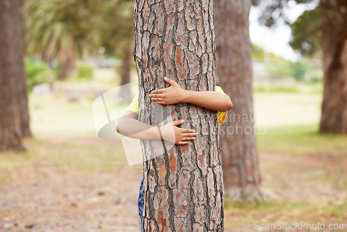 Image of Earth day, sustainability and child with a tree hug for eco friendly environment in a park in Taiwan. Recycle, ecology and kid hugging a trunk in nature for clean energy, love and sustainable woods