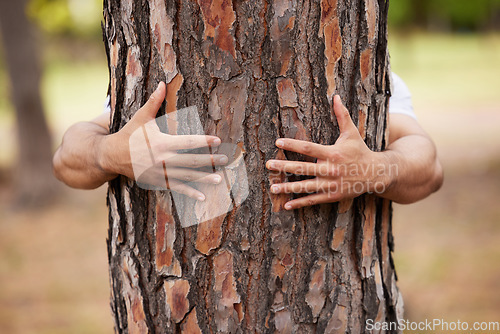 Image of Environment, hands and man hug trees for save the planet, nature deforestation or community support project. Earth day sustainability, eco friendly NGO charity and volunteer protect natural growth