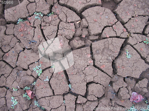 Image of cracked desert drought