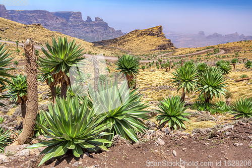 Image of Semien or Simien Mountains, Ethiopia