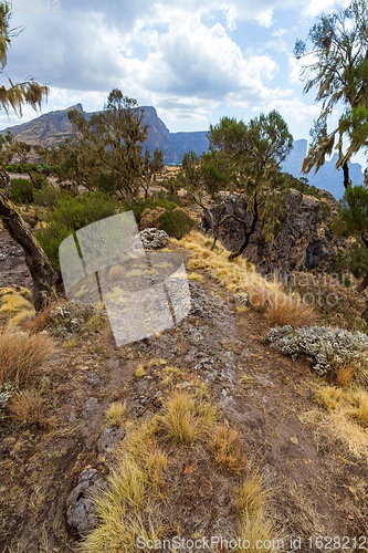 Image of walking in Simien Mountain, Ethiopia wilderness, Africa