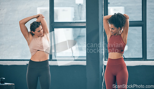 Image of Teamwork, stretching and friends with women in gym for training, workout and exercise. Fitness, health and personal trainer with girl and muscle warm up for wellness, sports and progress goals