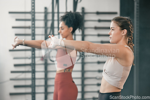 Image of Fitness, stretching and arms with women in gym for training, workout and exercise. Teamwork, health and personal trainer with girl friends and muscle warm up for wellness, sports and progress goals