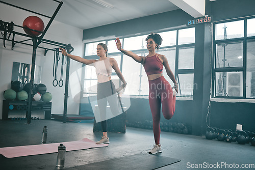 Image of Balance, stretching and friends with women in gym for training, workout and exercise. Teamwork, health and personal trainer with girl and muscle warm up for wellness, sports and fitness goals