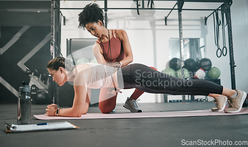 Image of Fitness, plank or personal trainer at gym with woman for training, exercise or workout at health club. Women, focus or healthy sports athlete exercising with coach for progress, support or motivation