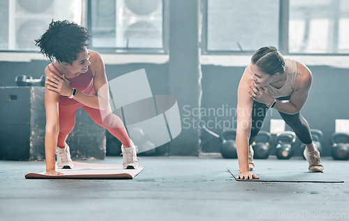 Image of Gym floor, health and training woman doing arm plank exercise, performance workout or core muscle building. Body self care, commitment and wellness for team, people or friends fitness class ground