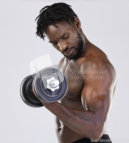 Image of Fitness training, dumbbell exercise and black man in studio doing muscle workout. Body of a sexy and strong bodybuilder or sports person to train with weights for growth, health and wellness