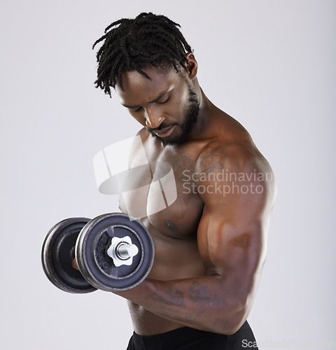 Image of Dumbbell, exercise and fitness of a strong black man doing muscle workout in studio. Body of sexy bodybuilder person training with weight for power, health and wellness or growth as sports motivation