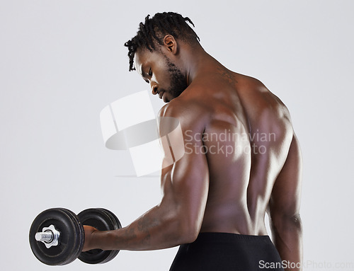 Image of Fitness, exercise and strong black man training with weights for bicep muscle workout in studio. Body of a sports person or bodybuilder with dumbbell to train for power, health and wellness or growth