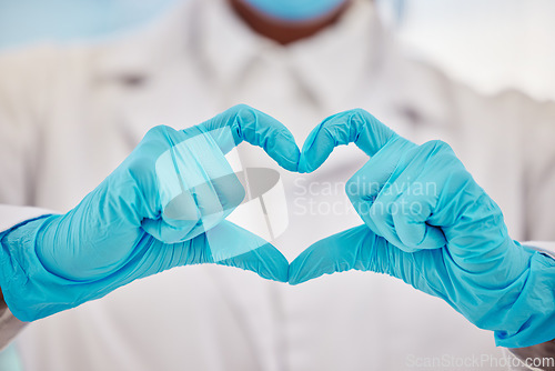 Image of Healthcare, heart or hands and a doctor in a hospital with gloves making a gesture or hand sign for health. Medical, insurance and love with a medicine professional gesturing an emoji, symbol or icon