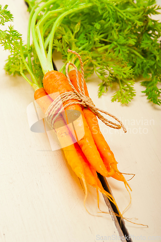 Image of baby carrots bunch tied with rope