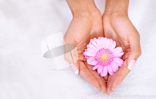 Image of Beauty, flower and spa with hands of woman with mockup for skincare, wellness or natural cosmetics. Spring, peace and floral with girl holding fresh daisy in salon for treatment, blossom or self care