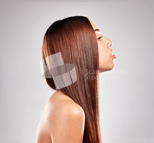 Image of Hair care, beauty and luxury salon haircut of a woman with brazilian treatment in a studio, Gray background, isolated and natural healthy keratin shampoo of a model style shine after hairdresser