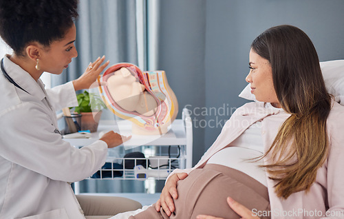 Image of Pregnant, woman and doctor explanation with fetus in clinic for medical expertise and progress assessment. Baby, pregnancy and mom with black woman gynaecologist for update of growth development.