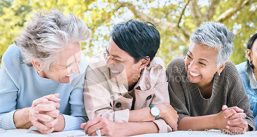 Image of Retirement, women and friends laugh at park together for bonding, wellness and relaxing lifestyle. Happiness, funny and smile of senior people in interracial friendship on blanket in nature.