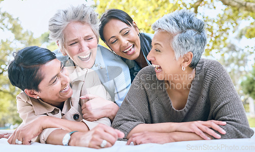 Image of Wellness, happy and retirement women friends laugh in park for group bonding and relaxing lifestyle. Funny joke and smile of senior people in interracial friendship in nature together.