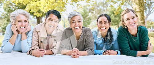 Image of Friends, portrait and senior women on picnic at park for bonding, wellness and relaxing on blanket. Happiness, relax or group of elderly retirement people in interracial friendship in nature together
