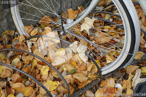 Image of Autumn bike