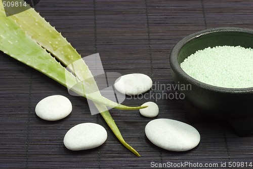 Image of Aloe vera bath pearls