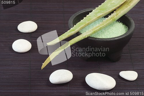 Image of Aloe vera bath salts