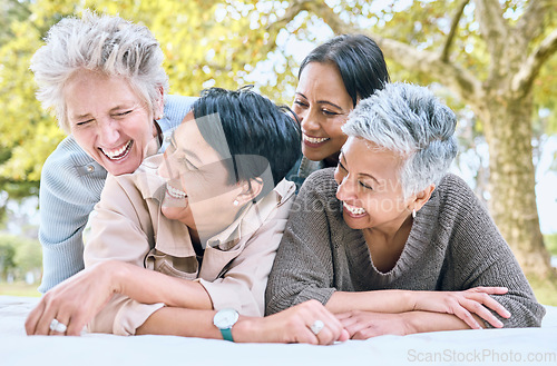 Image of Funny women and picnic with retirement friends laughing at joke and bonding together for wellness. Happy, care and smile of senior people in interracial friendship at park for relaxed hangout.
