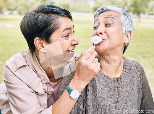 Image of Senior women, bubblegum and couple of friends together outdoor for comic fun while happy on grass. People together in nature for bonding, happiness and relax on retirement holiday with support