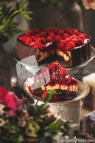 Image of Slice of chocolate vanilla cake with raspberry jelly