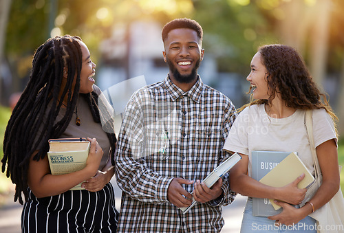 Image of Friends, university students and group portrait at park outdoors ready to start learning business management. Scholarship books, comic and happy people, black man and women laughing at college meme.