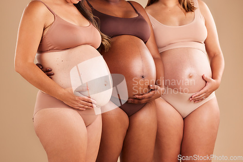 Image of Pregnant, body and holding stomach in support line, solidarity and community diversity on studio background. Pregnancy friends, women and underwear in belly growth, healthcare wellness or mothers day