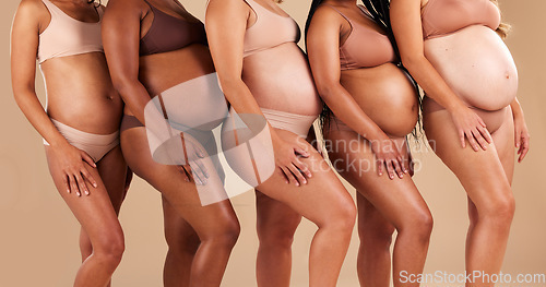 Image of Pregnant body, women or stomach in row on studio background in community, diversity or baby support group. Friends, people or bonding mothers in underwear for belly growth or healthcare development