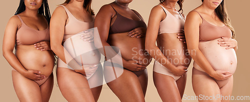 Image of Pregnancy, body or women touching stomach in support, love or community diversity on studio background. Pregnant, friends or mothers in underwear for belly growth, empowerment or healthcare wellness