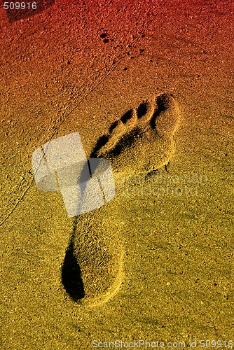 Image of Footprint